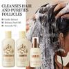 Champú Acondicionador de Ajo Kormesic Serie para el Cuidado del Cabello Comercio Transfronterizo Aceite Esencial para el Cuidado del Cabello