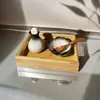 Salón de Belleza Recipientes para Aceites Esenciales, Set de Botellas y Frascos para Aceites Esenciales, Recipientes para Mezcla de Productos, Platos Pequeños, Colección de Suministros para Clubes de Spa Tailandés