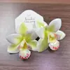 Pendientes Florales Grandes de Rafia Estilo Vacacional Junto al Mar Populares de Lujo Ligero Pendientes de Estrella de Mar Pendientes Elegantes de Nicho