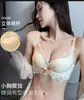 Pecho Pequeño Push-up Talla Grande Ropa Interior Niña Aros Sin Acero Pecho Anticaída Ajustable Encaje Sexy Conjunto de Sostén