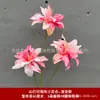 3 Flores de Lirio Simulación 3D Pequeño Libro Rojo Mismo recomendar Boda Decoración de Boda Flor Ventana Fotografía Paisaje