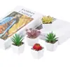 Planta Suculenta Simulada Vaso de Plástico Bonsai Mini Pequeno Quadrado Planta em Vaso Es0510 Alta Simulação Planta Verde