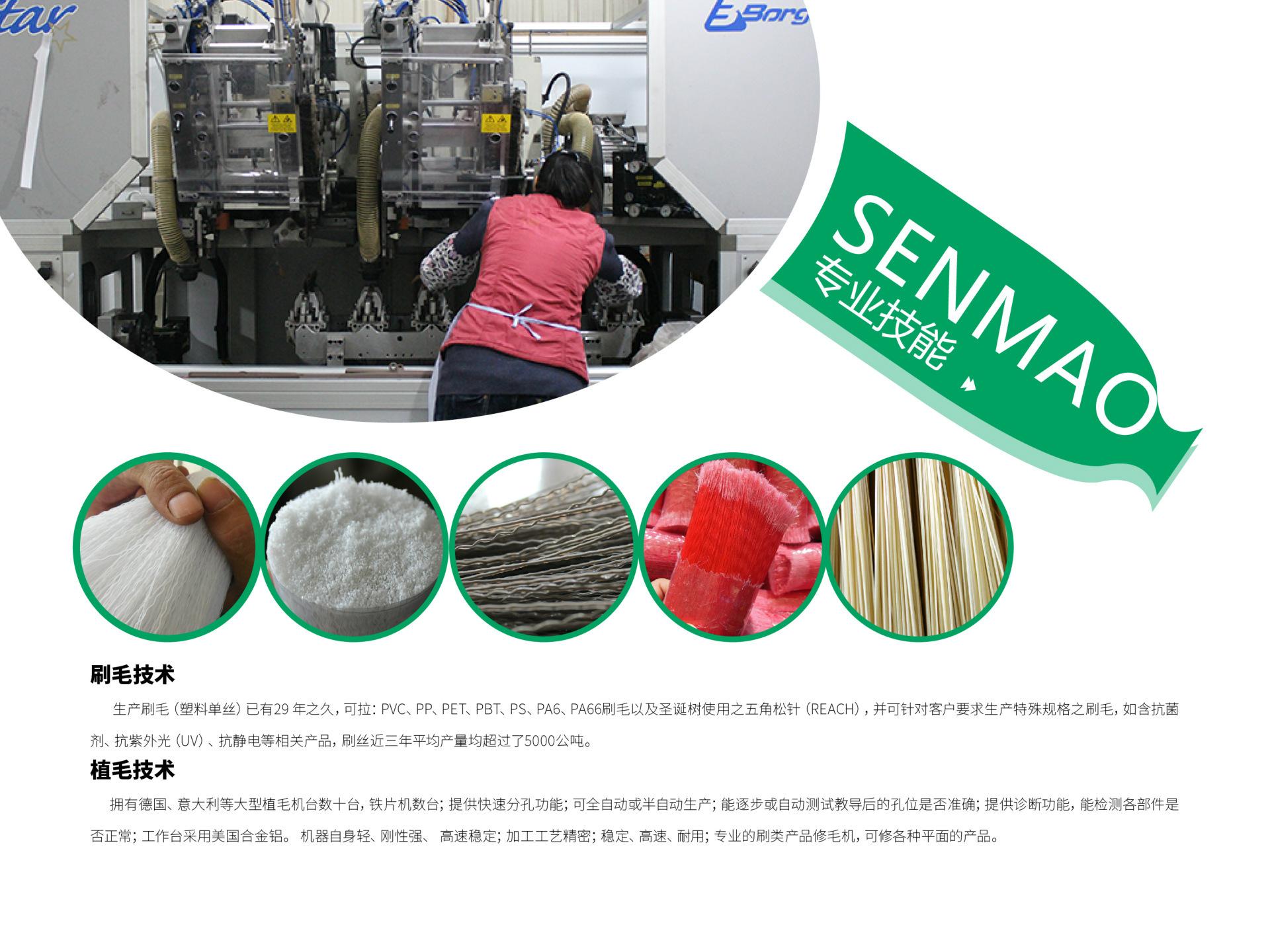 senmao  ppt_5