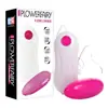 Huan Guo Vibrador Gêmeos Controle Remoto Elétrico Dispositivo de Masturbação Ueb Vibrador de Choque Forte Produtos para Saúde Sexual de Adultos