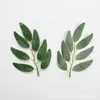 Productos de Venta Caliente Transfronterizos: Varios Estilos de Hojas de Rosa, Plantas Verdes Artificiales, Hojas de Plantas Acuáticas, Arreglos Florales Hechos a Mano para Bricolaje, Accesorios de Decoración para Paredes de Flores