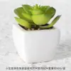 Suculentas Simuladas Personalizadas Cerámica Bonsái Plantas Verdes Escandinavas Adornos Hogar Interior Sala de Estar Flores Falsas Suculentas Plantas en Maceta