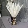 Flores Secas de Juncia Pequeña, Hierba de Pampa, Ramilletes de Juncia Pequeña al por Mayor, Ramilletes para Boda y Decoración del Hogar, Arreglos Florales DIY