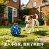 Brinquedo de jogo para animais de estimação, bola elástica, bola para animais de estimação para uso externo, eliminador de tédio para cães, bola de pipoca ETPU autoentretenível, resistente à mastigação, para saúde bucal