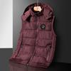 Chaleco de otoño e invierno de 24 años, nuevo chaleco de color sólido para hombre, marca de marea coreana, sin mangas, de algodón grueso