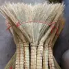 Vassoura de Milho de Seda Dourada Tamanho Grande Vassoura de Sorgo e Milho Vassoura Vassoura de Varrer Vassoura de Milho Amarelo Sem Sementes Propriedade Escolar Canteiro de Obras