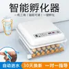 Incubadora de Huevos Totalmente Automática Máquina de Eclosión de Huevos con Control Inteligente de Temperatura y Humedad Caja de Eclosión Automática para Girar y Candling los Huevos