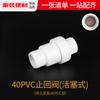 Accesorios para tuberías de agua de PVC, válvula de retención, pegamento para válvula de retención 202532405075, conector de accesorios de tubería de válvula de retención de plástico