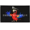 Bandera Pirata con Calavera y Tibias Cruzadas, Buitre, Bisonte, Lobo, Pancarta Gráfica Náutica, Señal Decorativa para Exteriores y Interiores, Pirata