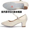 Zapatos de Baile Moderno para Mujer, Zapatos Elásticos para Práctica Latina de Salón para Adultos, Zapatos de Baile de Salón Waltz, Zapatos de Baile de Salón