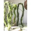 Enredaderas ramas ramitas higuera raíces aéreas trepadoras colocación musgo enredaderas muertas musgo artificial paisajismo estilo bosque colgante de pared decoración de arte floral