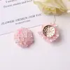Brincos DIY de Hortênsia com Florzinhas Pequenas em Gradiente Doce Feminino, Miçangas de Arroz, Acessórios de Orelha, Presilhas de Cabelo, Broches, Acessórios de Flor para Sapatos