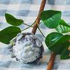 Cabeza de Buda flor artificial flor artificial flor Emperador flor de seda Sakyamuni mayoreo y menudeo arte floral suave para el hogar