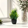 Venta al por mayor transfronteriza de plantas artificiales, plantas pequeñas en maceta de hierba de primavera, flores artificiales, plantas verdes falsas para interior y exterior, decoraciones para el hogar y la oficina, bonsáis