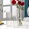 Vaso de Vidro Transparente Personalizado Estilo Nórdico Ins Criativo Decoração de Sala de Estar Vaso Listrado Vertical para Flores Secas e Arranjos Hidropônicos