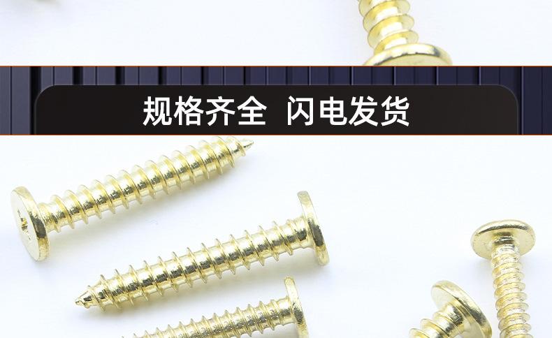 金色304不锈钢CA十字薄头自攻螺丝_03_19.jpg