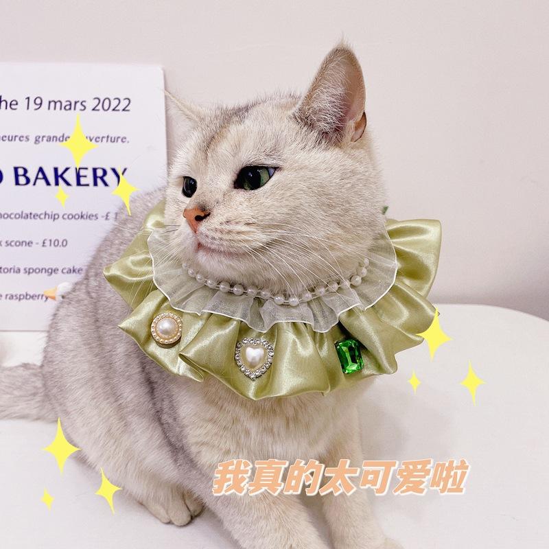 IMG_6510(20230317-225925)_副本