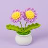 Girasol de Lana Transfronterizo en Maceta Flor de Lirio del Valle Nomeolvides Tulipán Adorno de Flor Artificial Temporada Escolar Regalo para Maestro