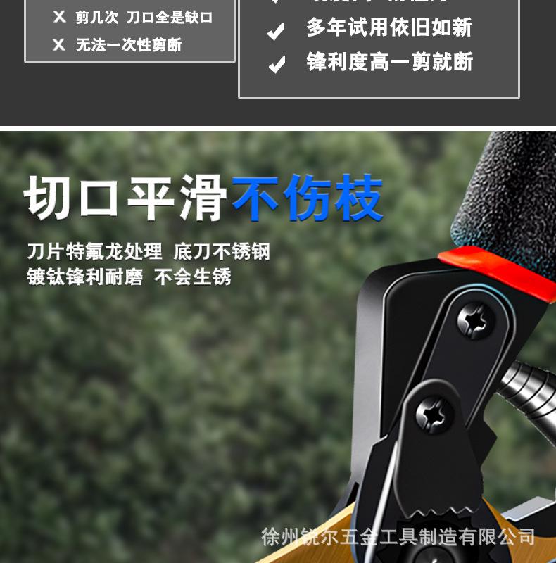 详情_12.jpg