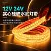 Tira de Luces LED Sumergible IP68 Bajo el Agua 12V 24V Bajo Voltaje Tira de Luces LED de Silicona Sólida 120 Luces Autoadhesiva Proyecto de Piscina