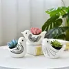 Dongheng Maceta de Animales Estilo Japonés y Coreano Maceta Mini Pulgar Adornos Set de Búho Cambio de Horno Maceta para Suculentas con Base