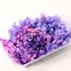5 gramas de 100 gramas de Hortênsia Anna Classe B Artigos Transparentes Cor Quebrada Código Quebrado Micro Defeitos Flor Eterna Hortênsia de Madeira Flores Preservadas