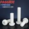 Parafuso Francês Cabeça Redonda de Nylon Branco Gb818 Elemento Plástico Pa66 Cabeça Panela Parafuso de Máquina Isolado de Plástico M2-M8