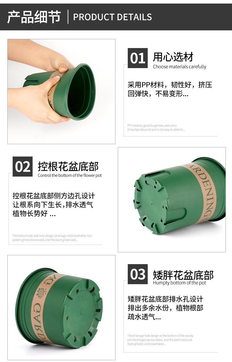 控根加仑盆详情新_10.jpg