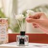 Douyin Más Vendido Aceites Esenciales de Aromaterapia Adornos de Perfume de Aromaterapia sin Fuego Compañero de Interior Caja de Regalo Fragancia Venta al por Mayor Comercio Exterior