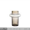 Vaso de vidrio creativo simple estilo ins alto valor de color arreglo floral transparente flores secas botella hidropónica fábrica venta al por mayor