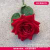 Flor Artificial rosa roja rosa cascada rosa glaciar rosa pared de fondo celebridad de Internet pared de flores de rosas arreglo floral