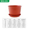 Control de Raíz Maceta Plástico Flor Nueva Transpirable de Pie Tubo Alto Cerámica Imitación Flor Gruesa Protector Solar Resina Flor Fabricante Wholesale Entrega