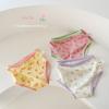 Ropa interior para niños N100, una generación de calzoncillos para bebés con dibujos florales de algodón, transpirables y lindos para niñas.