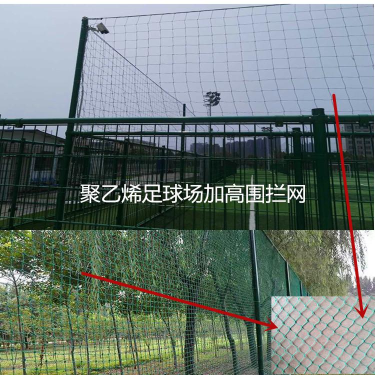 详情5