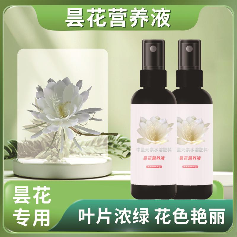 昙花营养液