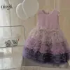 Conjunto de Vestido para Niña Otoño e Invierno Camiseta Base Forrada de Polar Falda de Malla en Capas Vestido Formal Estilo Coreano para Bebé Vestido de Princesa