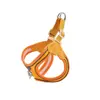 Correa para perros para todas las estaciones para perros pequeños, arnés transpirable y ligero para mascotas que no estrangula el cuello
