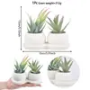 Enfeites Transfronteiriços da Amazon Enfeites para Casa com Suculentas Envasadas Plantas Verdes Simuladas Vasos Pequenos para Plantas de Mesa Decoração de Plantas Verdes