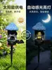 Luz de Jardim Solar à Prova d'Água de Resina com Coruja para Paisagem de Natal e Feriados - Luz de Chão para Exterior Transfronteiriça