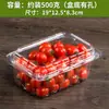 Caixa de Embalagem Descartável para Frutas Caixa Plástica Transparente Caixa de Embalagem para Morango 0,5kg Retangular com Tampa 500g