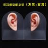 Modelo de Oreja de Silicona Oreja Artificial Realista Recogida de Oreja Enseñanza Silicona Suave Conducto Auditivo Largo 1:1 Oreja Falsa