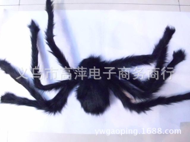 80.15蜘蛛