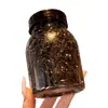 Gomas de Pelo Desechables Pequeñas para Niñas, Bandas de Pelo Coloridas de Alta Elasticidad para Niños Pequeños y Niñas, Gomas Pequeñas para Coletas