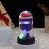 Mini Buquê de Flores de Sabão Transfronteiriço, Rosas Eternas Cobertas de Acrílico, Presente de Aniversário, Ornamento Luminoso para Desktop