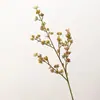 Simulação Xiaomi Fruta Caule Único Aipo Fruta Planta Verde Hotel Cena de Casamento Material de Flor Decoração de Sala de Estar Doméstica Material para Arranjo de Flores