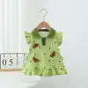 Novo Vestido de Verão para Meninas, Romper de Princesa Fashion com Gola Polo 3D de Melancia para Bebês